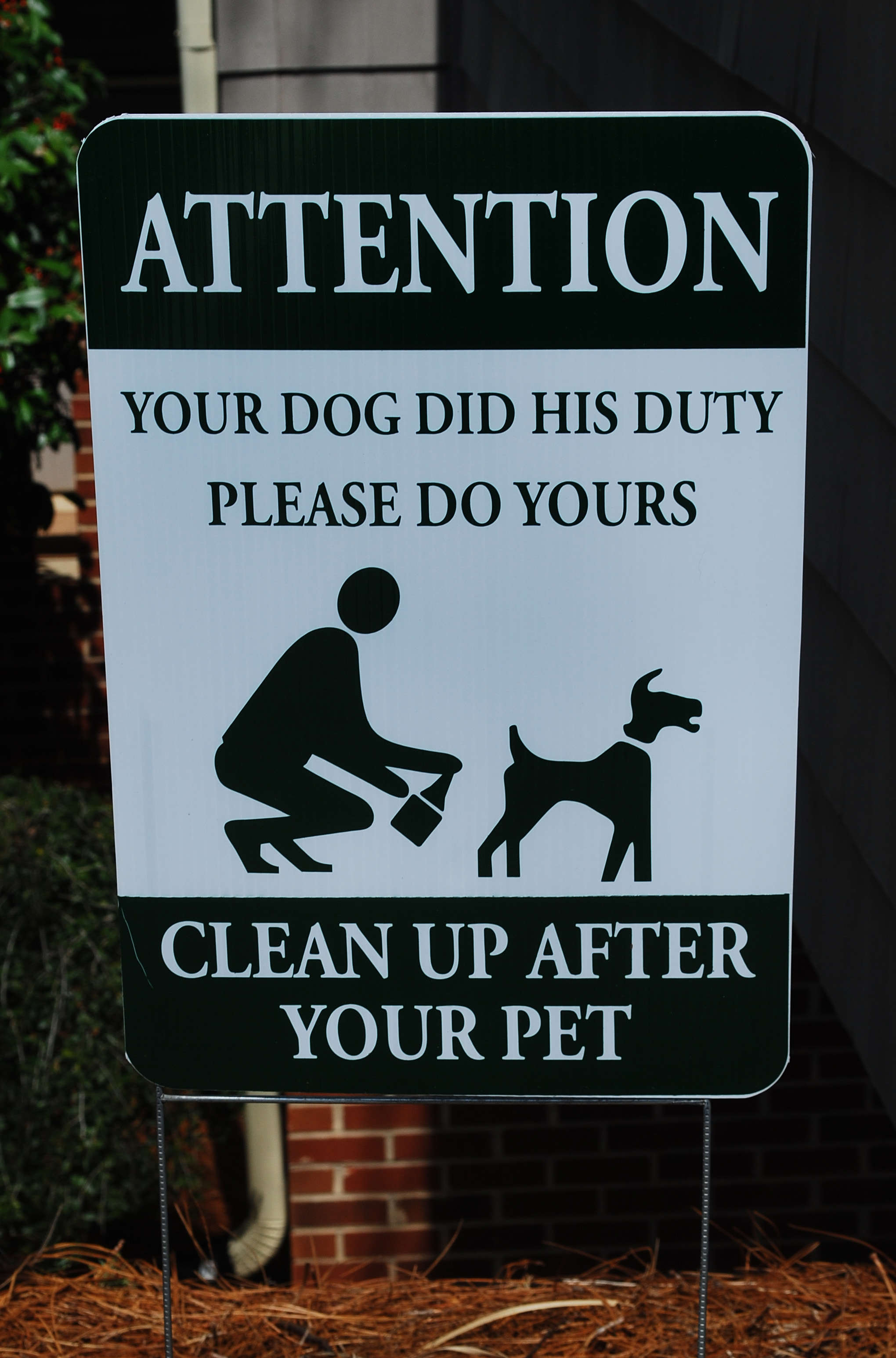 pet2