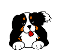 pet3